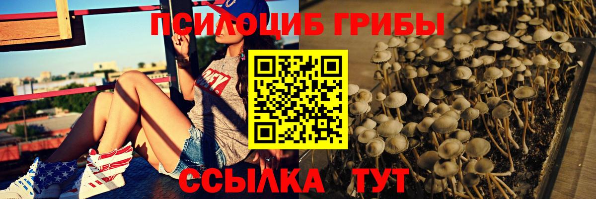 Буйнакск  Галлюциногенные грибы ЛСД  Вход с VPN  Псилоцибиновые грибы Magic Shrooms 